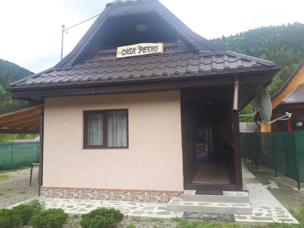 Дома для отпуска Casa Petro Brateş-5