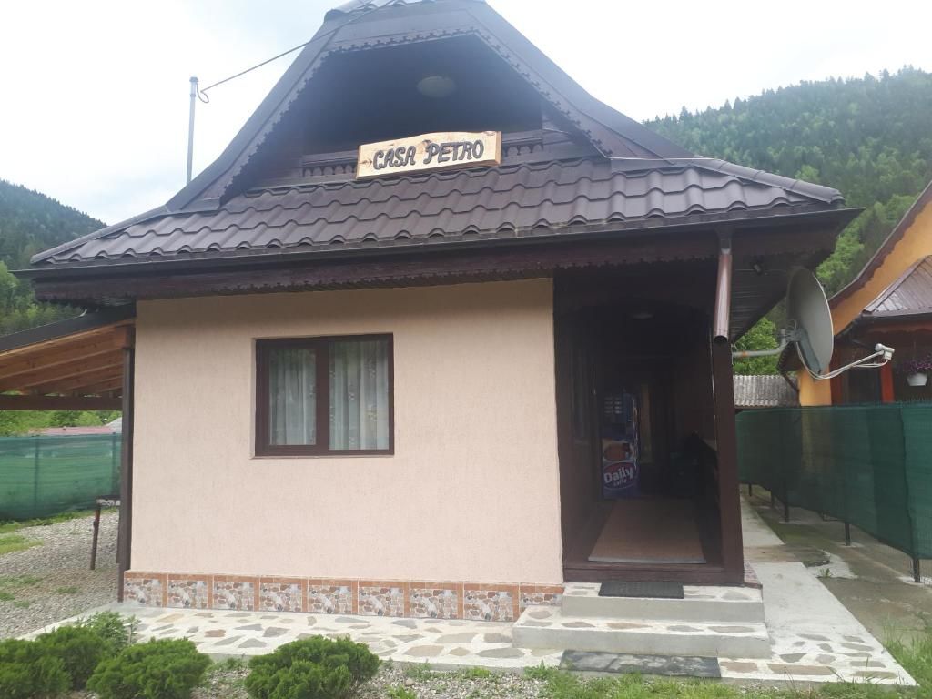 Дома для отпуска Casa Petro Brateş-55