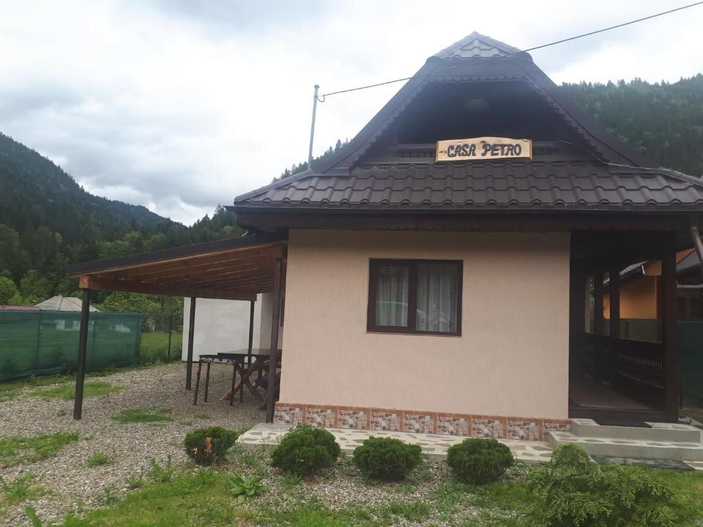 Дома для отпуска Casa Petro Brateş-79