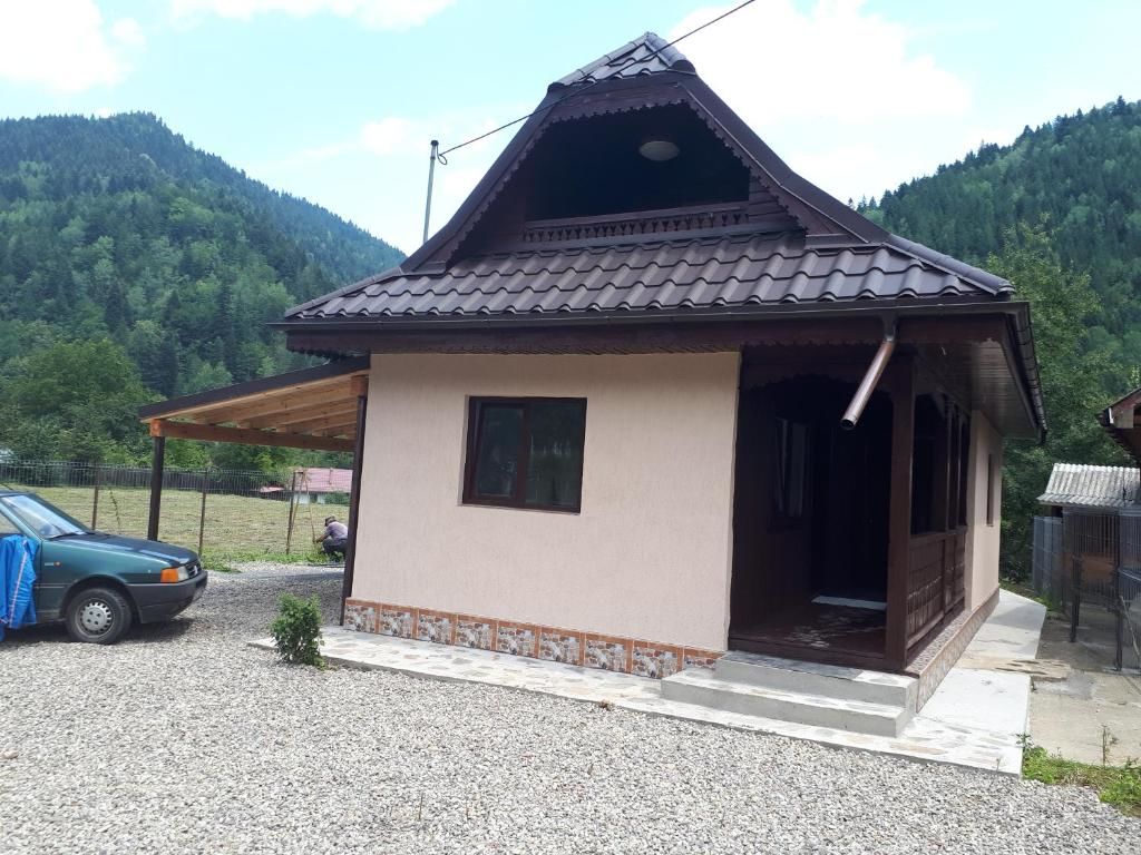 Дома для отпуска Casa Petro Brateş-81