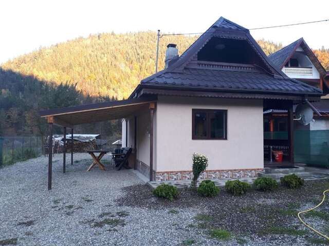 Дома для отпуска Casa Petro Brateş-93